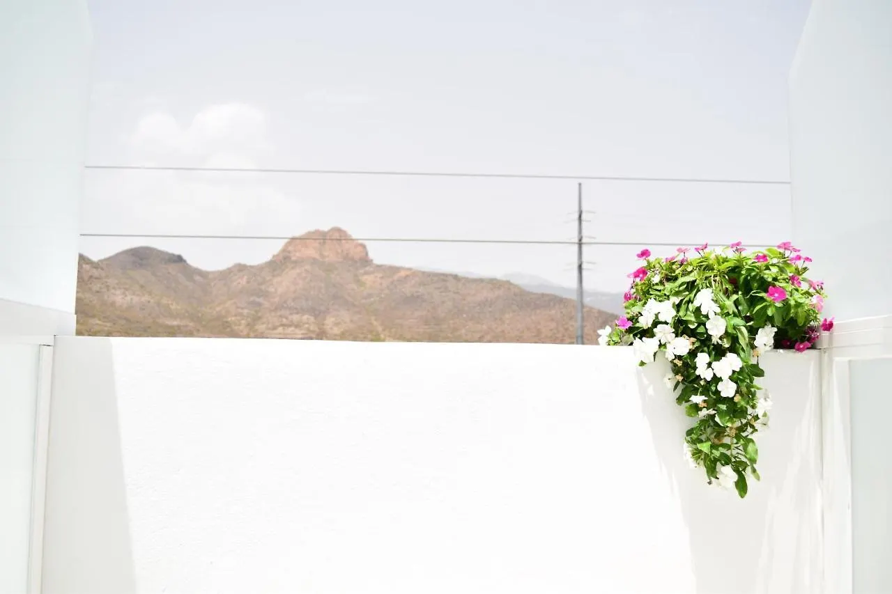 Hostel Neon Tenerife Guaza Hiszpania